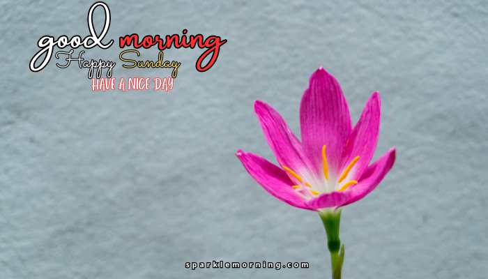 good morning happy sunday images