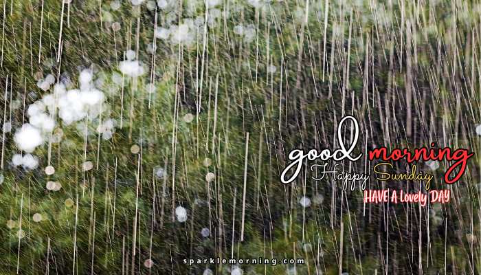 good morning happy sunday images