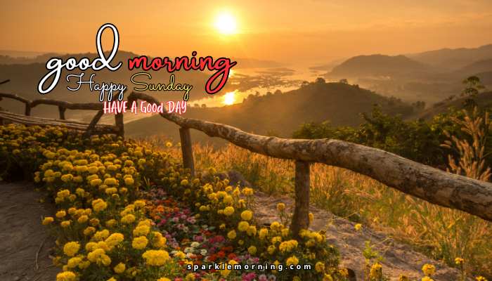 good morning happy sunday images
