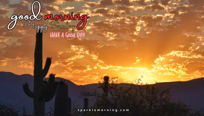 good morning happy sunday images