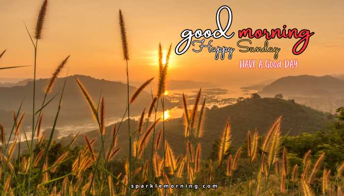 good morning happy sunday images