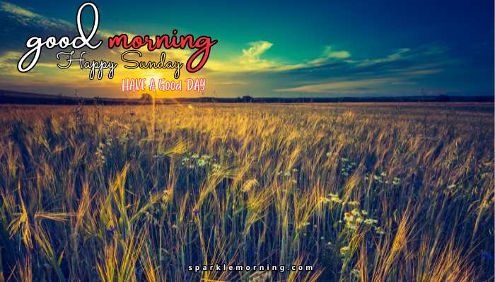 good morning happy sunday images