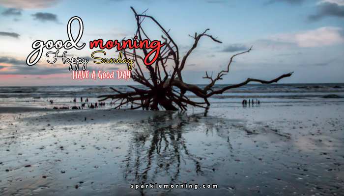 good morning happy sunday images