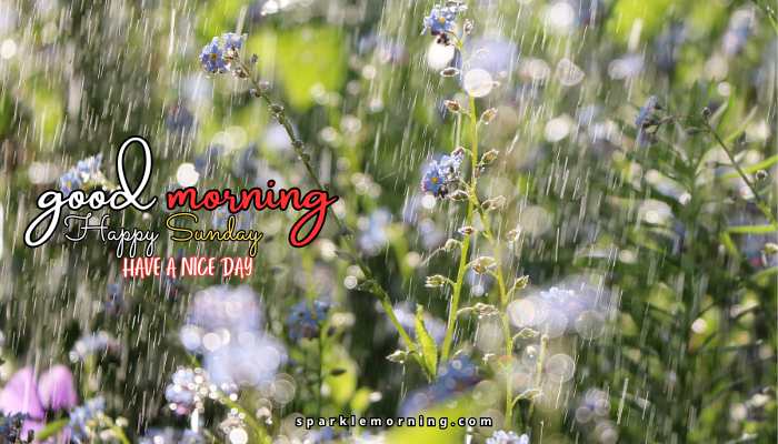 good morning happy sunday images