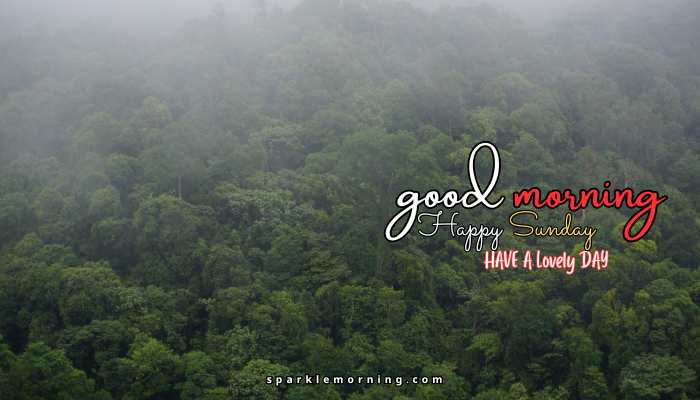 good morning happy sunday images