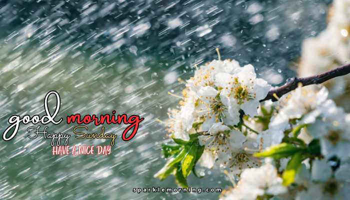 good morning happy sunday images