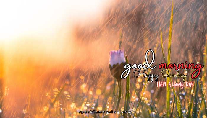 good morning happy sunday images