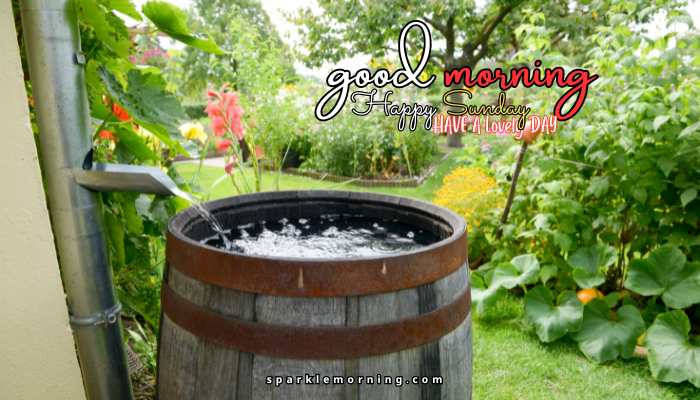 good morning happy sunday images