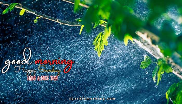 good morning happy sunday images