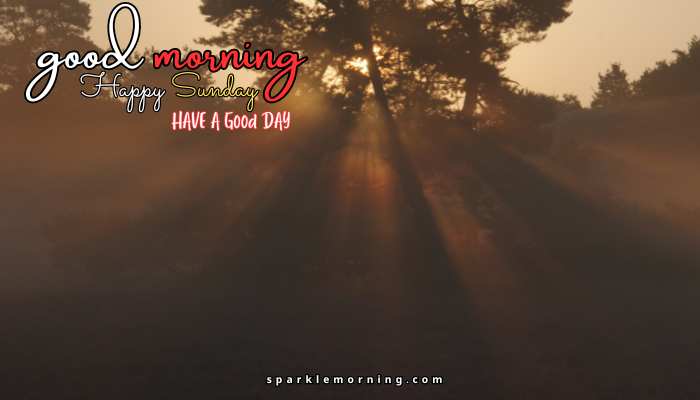 good morning happy sunday images