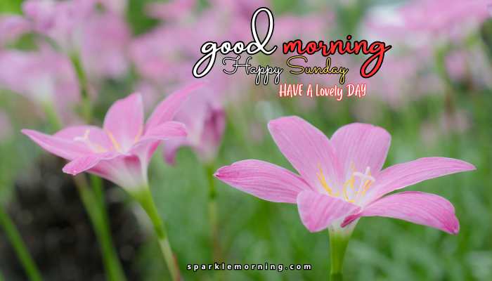 good morning happy sunday images