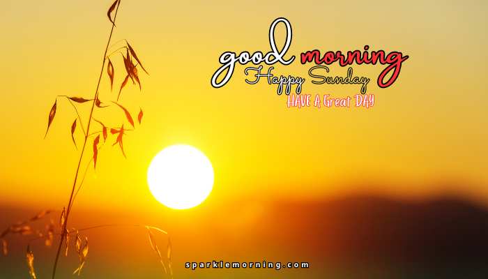 good morning happy sunday images