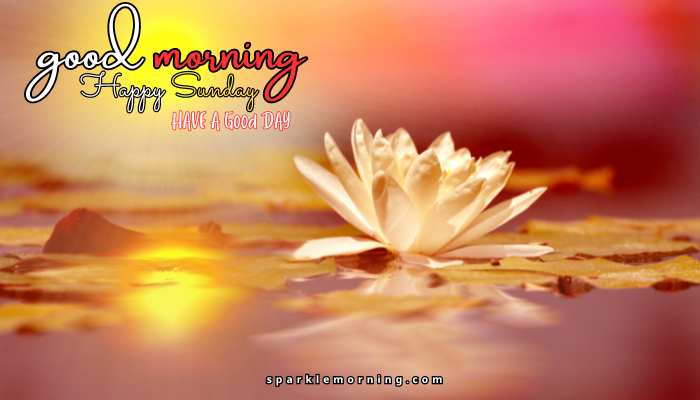 good morning happy sunday images