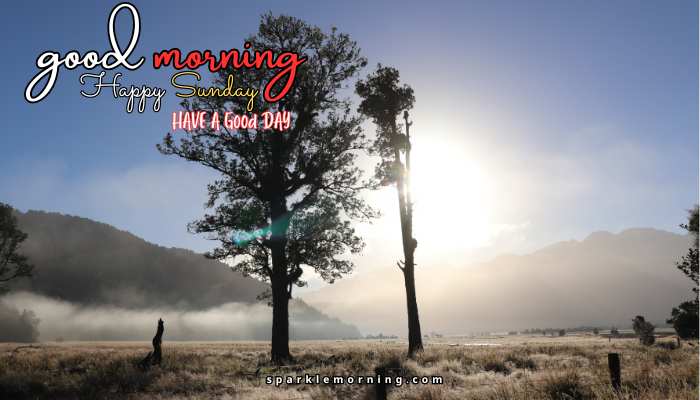 good morning happy sunday images