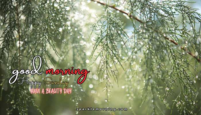 good morning happy sunday images