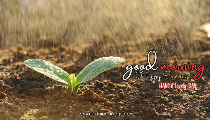 good morning happy sunday images