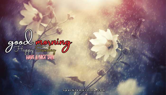 good morning happy sunday images