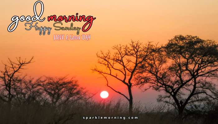 good morning happy sunday images