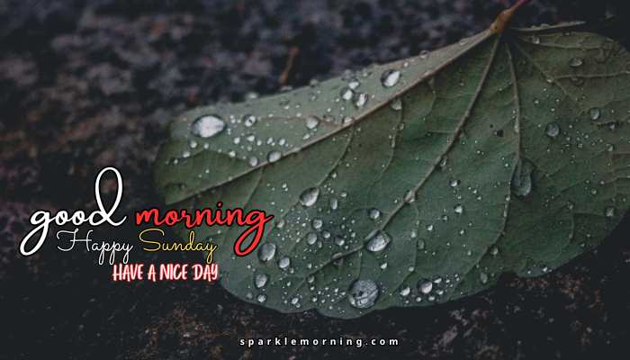 good morning happy sunday images