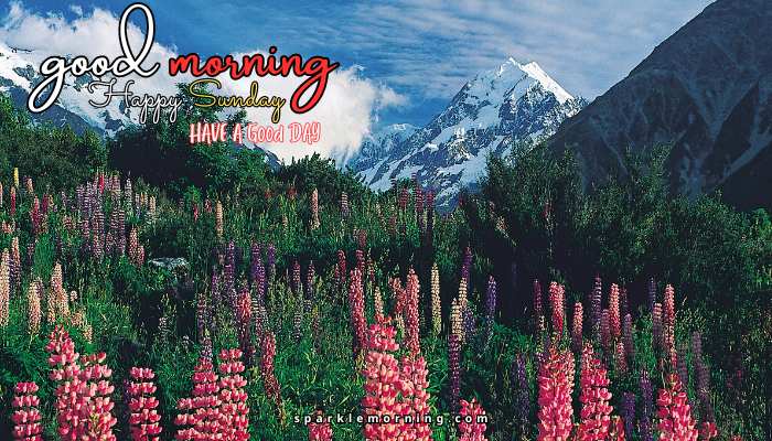 good morning happy sunday images