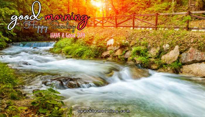 good morning happy sunday images