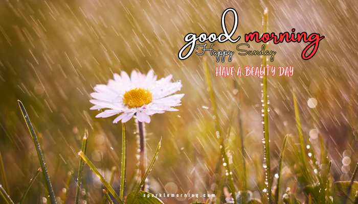 good morning happy sunday images