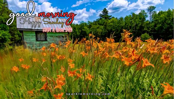 good morning happy sunday images