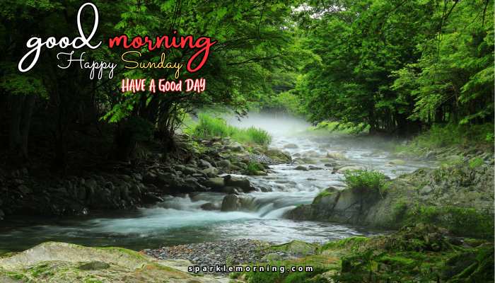 good morning happy sunday images