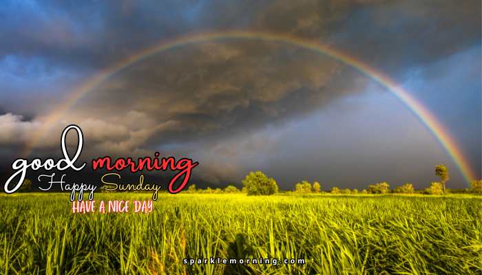 good morning happy sunday images