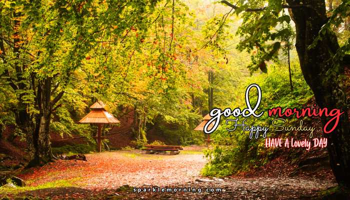 good morning happy sunday images