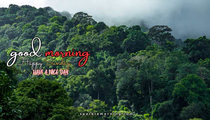 good morning happy sunday images