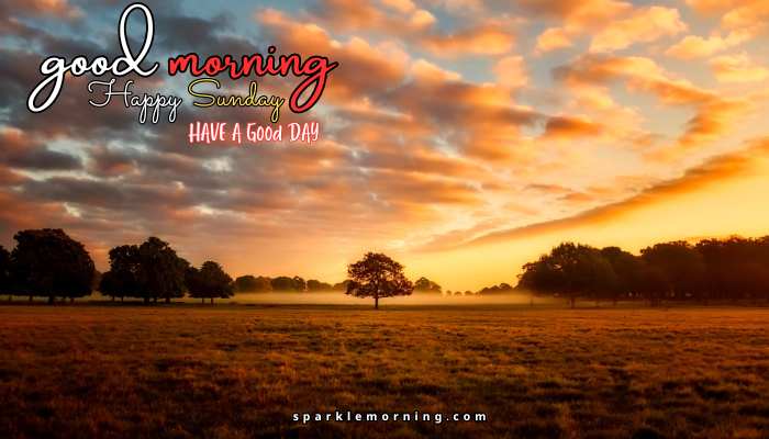 good morning happy sunday images