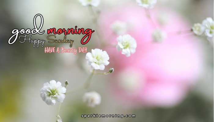 good morning happy sunday images