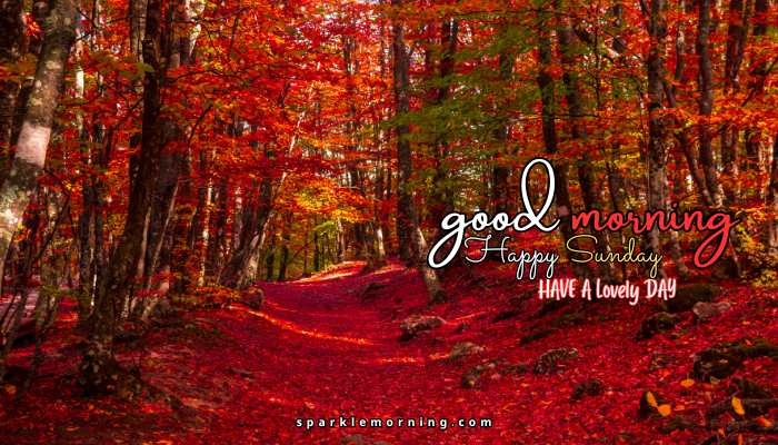 good morning happy sunday images