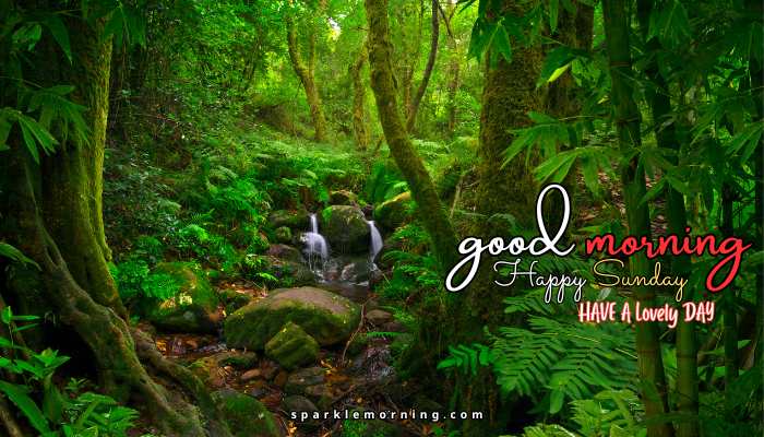 good morning happy sunday images