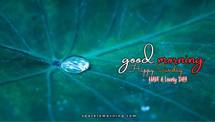 good morning happy sunday images