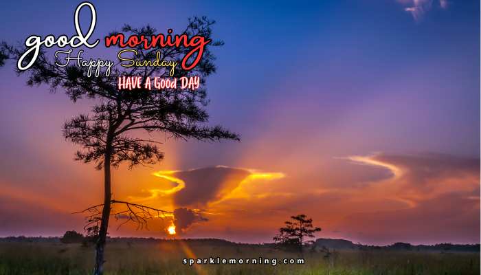 good morning happy sunday images