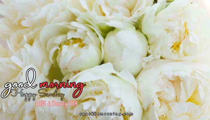 good morning happy sunday images