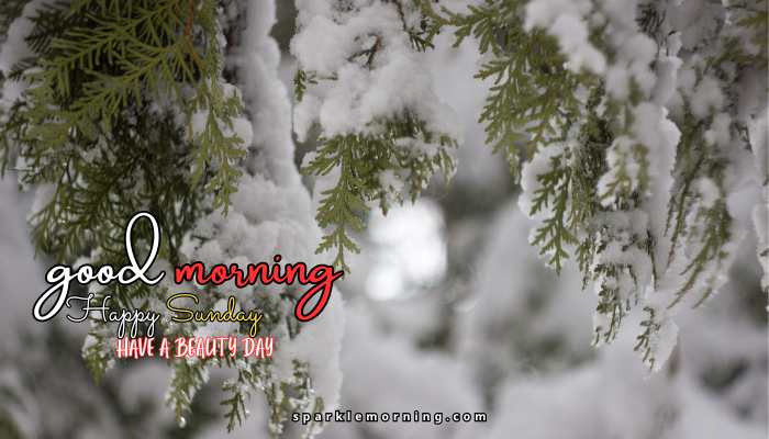 good morning happy sunday images