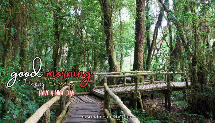 good morning happy sunday images