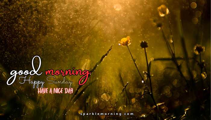 good morning happy sunday images