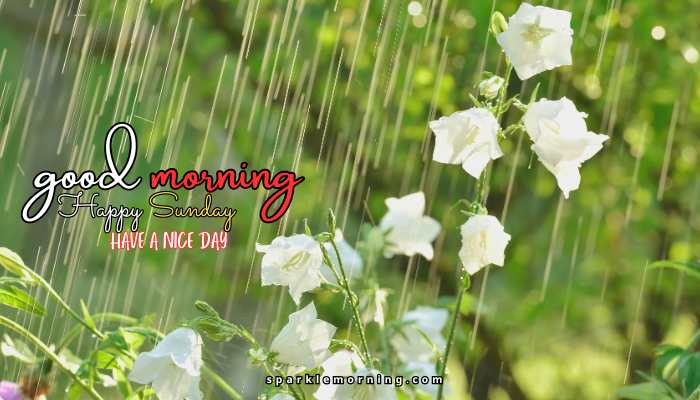 good morning happy sunday images