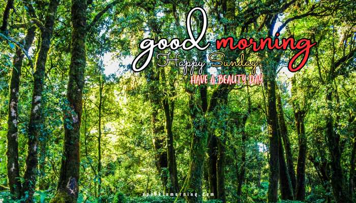 good morning happy sunday images