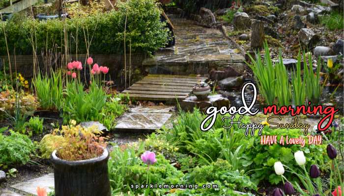 good morning happy sunday images