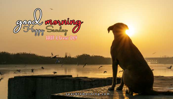 good morning happy sunday images