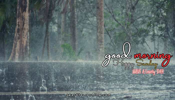 good morning happy sunday images