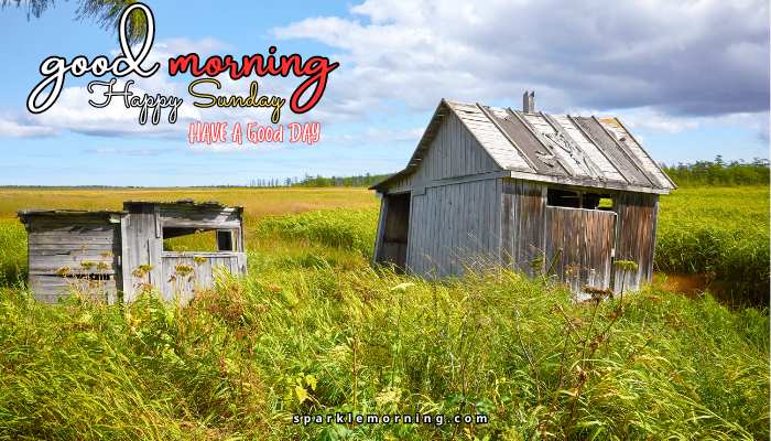 good morning happy sunday images