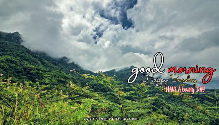 good morning happy sunday images