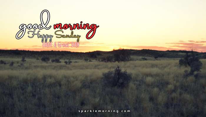 good morning happy sunday images