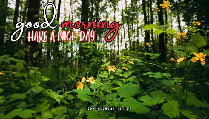 good morning have a nice day images (